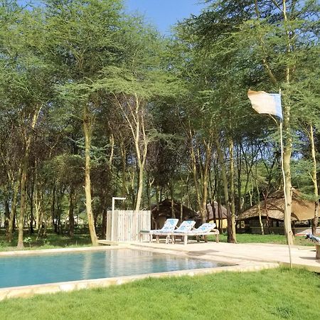 Africa Safari Camping מטו וואמבו מראה חיצוני תמונה